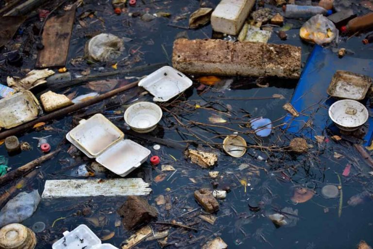 ¿Qué es la Contaminación del Suelo?