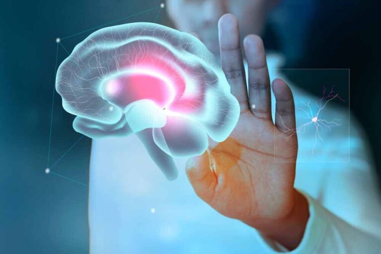 ¿Cómo funcionan las redes neuronales?