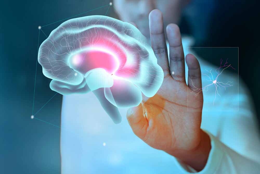 ¿Cómo funcionan las redes neuronales?