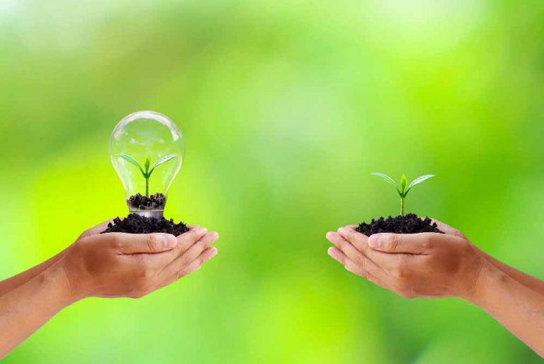 ¿Qué es la ética ambiental?