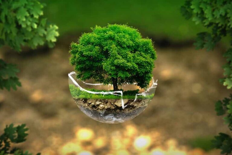 ¿Qué es el desequilibrio ecológico?