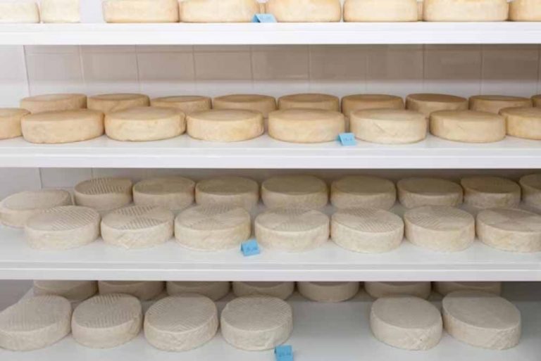 Procesos de Pasteurización de Alimentos