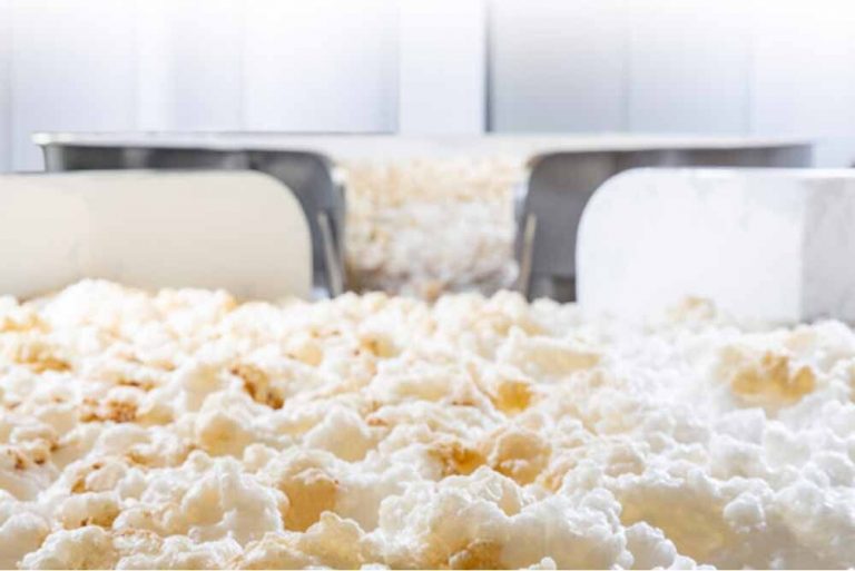 ¿Qué es la Fermentación?
