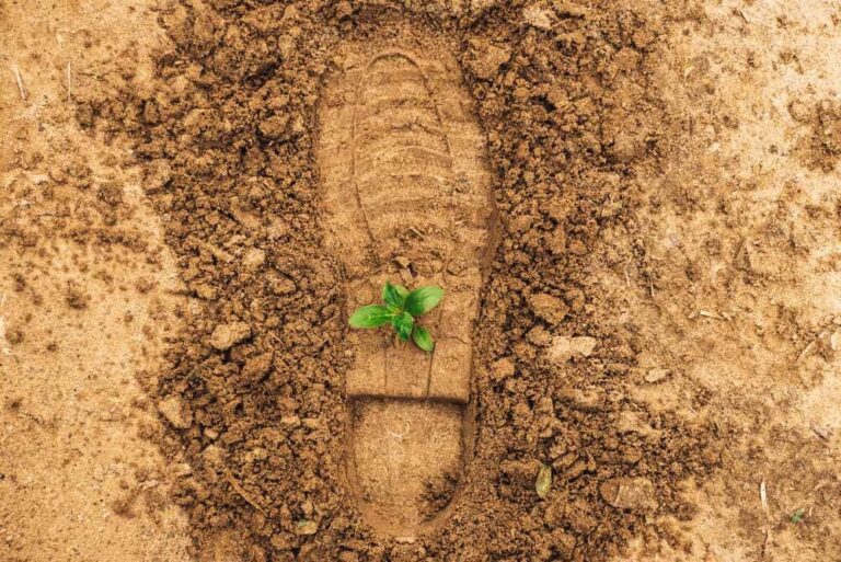 ¿Cómo se mide el impacto ambiental?