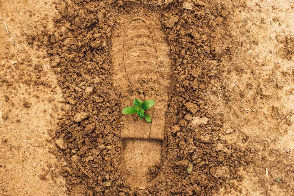 ¿Cómo se mide el impacto ambiental?