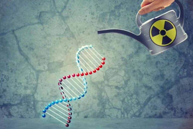 ¿Qué es la contaminación genética?
