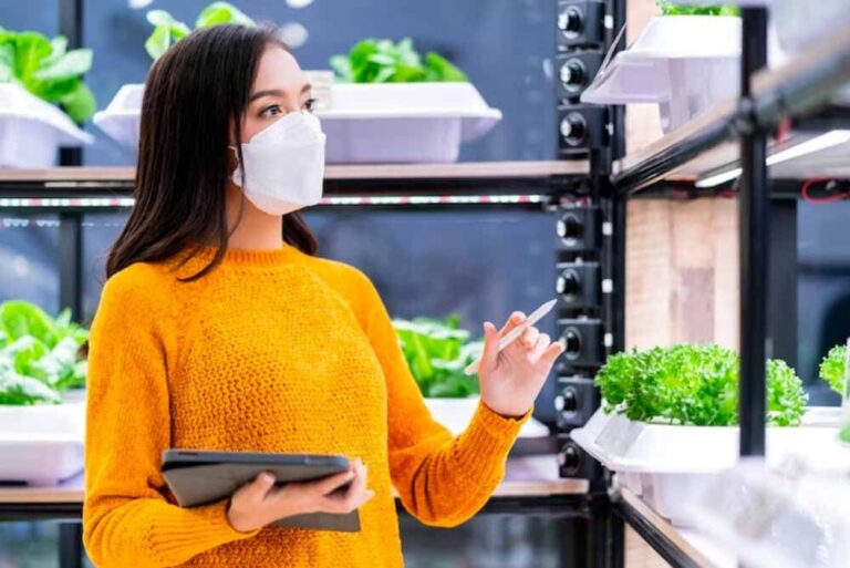 ¿Qué es la seguridad alimentaria?