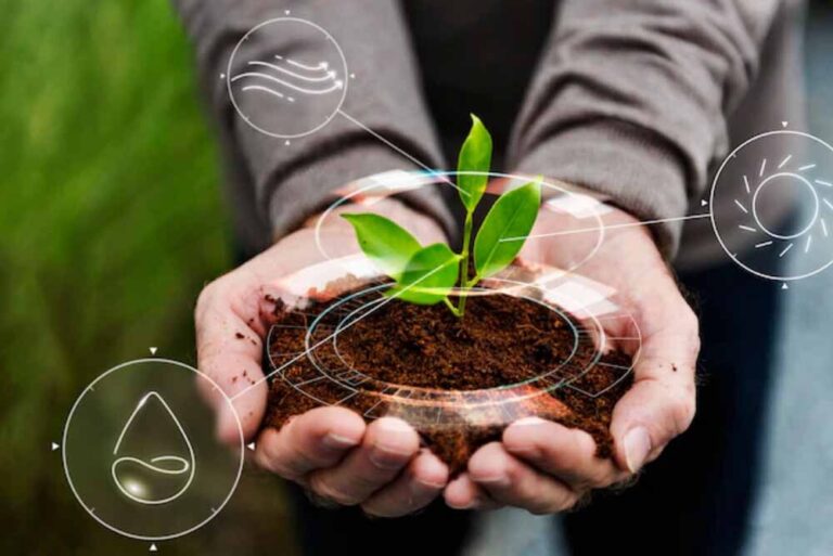 ¿Qué es el ecologismo?