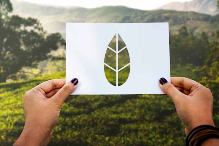 ¿Qué es la huella ecológica?