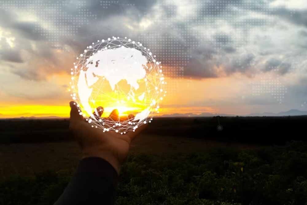 Suelos sanos para un futuro sostenible