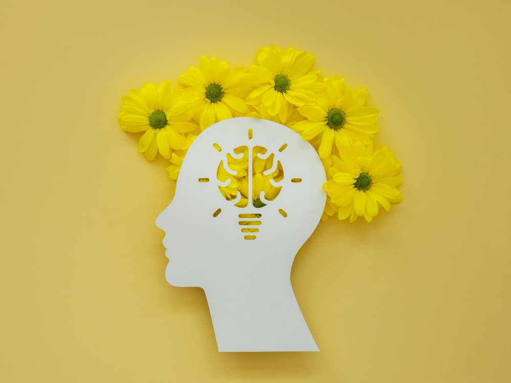 Aplicaciones de la neuropsicología en la vida cotidiana